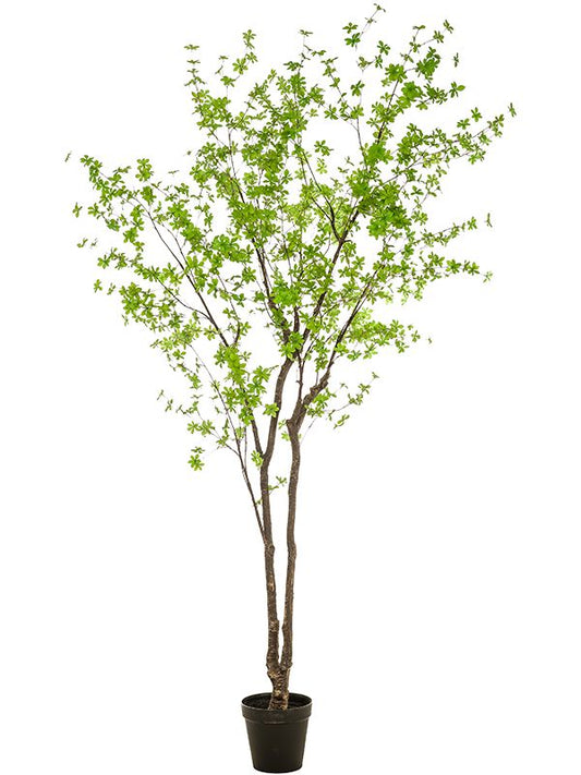 Tropaeolum Artificial Plant Premium Faux 300cm Height Artificial Plants