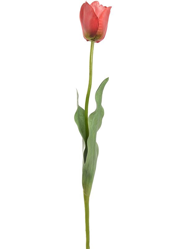 Tulip Artificial Plant Premium Faux 66cm Height Artificial Plants