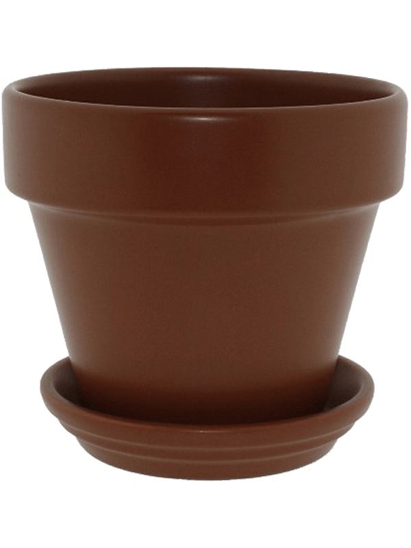 Urbann Plant Pot 22cm Height 24cm Dia Pot & Saucer Matt Terra Pots & Planters