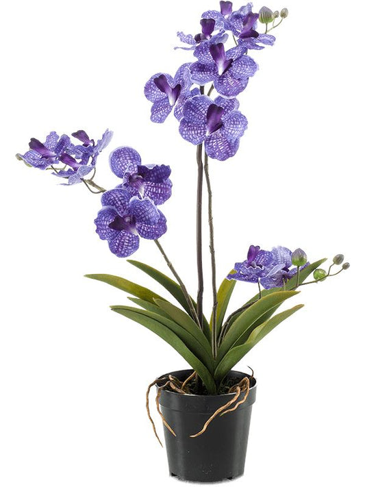 Vanda Artificial Plant Premium Faux 60cm Height Artificial Plants