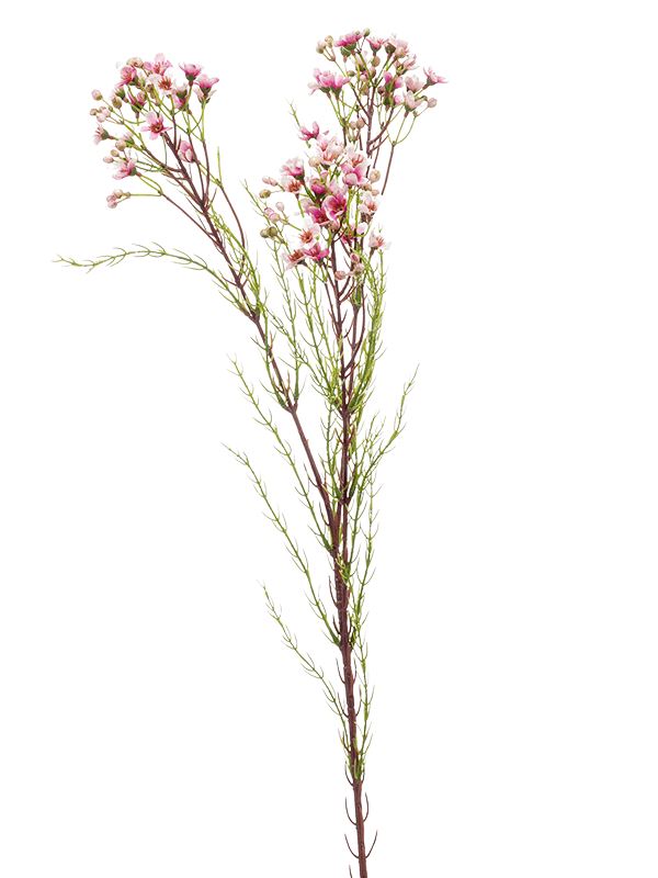 Wax Flower Artificial Plant Premium Faux 78cm Height Artificial Plants