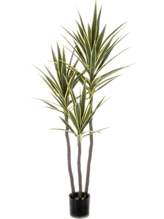 Yucca Variegated Artificial Plant Premium Faux 160cm Height Artificial Plants
