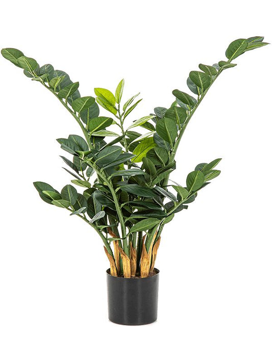 Zamioculcas Zamiifolia ZZ Artificial Plant Premium Faux 66cm Height Artificial Plants