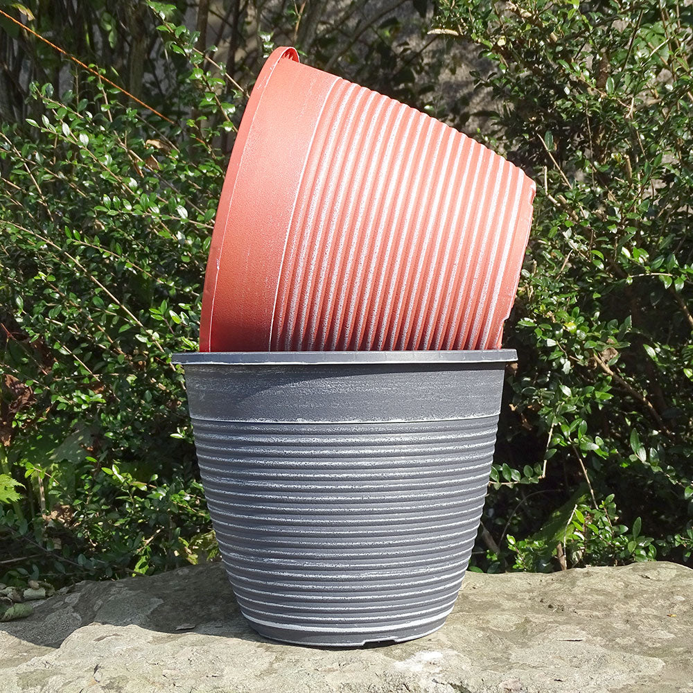 25cm Maine Round Planter Terracotta/White Plant Pot Outdoor Pots