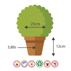 25cm Olympia Bowl Terracotta Plant Pot Outdoor Pots