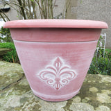 30cm Fleur de Lys Basket Terracotta/White Plant Pot Outdoor Pots
