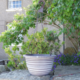 30cm Olympia Basket Chocolate/White Plant Pot Outdoor Pots
