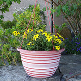 30cm Olympia Basket Terracotta/White Plant Pot
