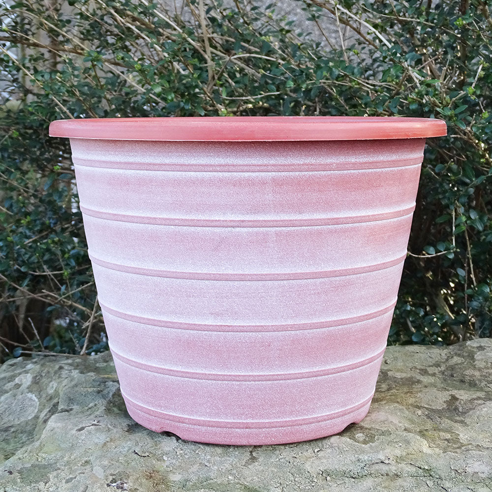 30cm Olympia Terracotta/White Plant Pot Outdoor Pots