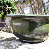 40cm Aegean Bowl Olive Plant Pot Outdoor Pots