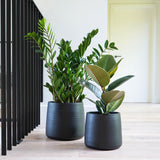 Akemi Planter Carbon Black 20cm Height 22cm Dia Pots & Planters