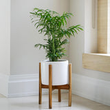 Anzio Stone White Planter with Wooden Stand 38.5cm Height 24cm Dia Pots & Planters