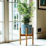 Anzio Warm Grey Planter with Wooden Stand 38.5cm Height 24cm Dia Pots & Planters