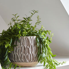 Arles Leaf Embossed Mocha Planter 20cm Height 22cm Dia Pots & Planters