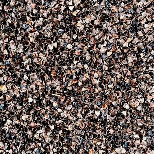 Buckwheat Hulls 2.5ltr Houseplant Substrates