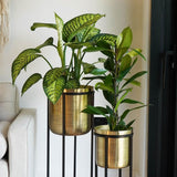 Calla Planter Stand Black Antique Gold 58cm Height 22cm Dia Pots & Planters