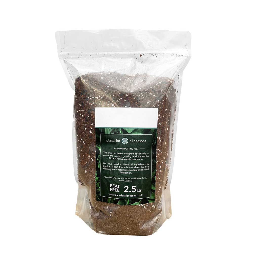 Coarse Lava Rocks 2.5ltr Houseplant Substrates