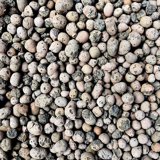 Coarse Leca 2.5ltr Houseplant Substrates