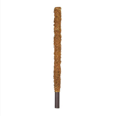 Coir Mosspole 70cm Tall Houseplant Care