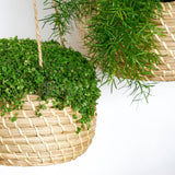Hanging Seagrass Planter Set of 2 Pots & Planters