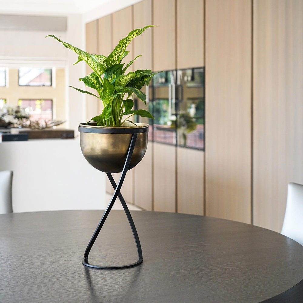 Indoor Kensington Tall Brass Metal Round Planter on Stand 42cm Height 20cm Width Pots & Planters