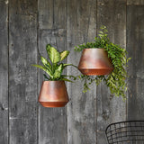 Indoor Soho Aged Copper Hanging Planter with Leather Strap 15cm Height 21cm Dia