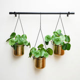 Linear Black and Gold Hanging Planters 81cm