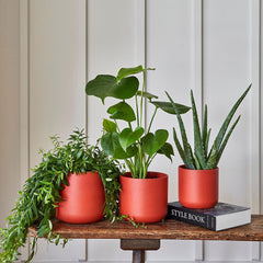 Lisbon Planter Coral 26cm Height 26cm Dia Pots & Planters