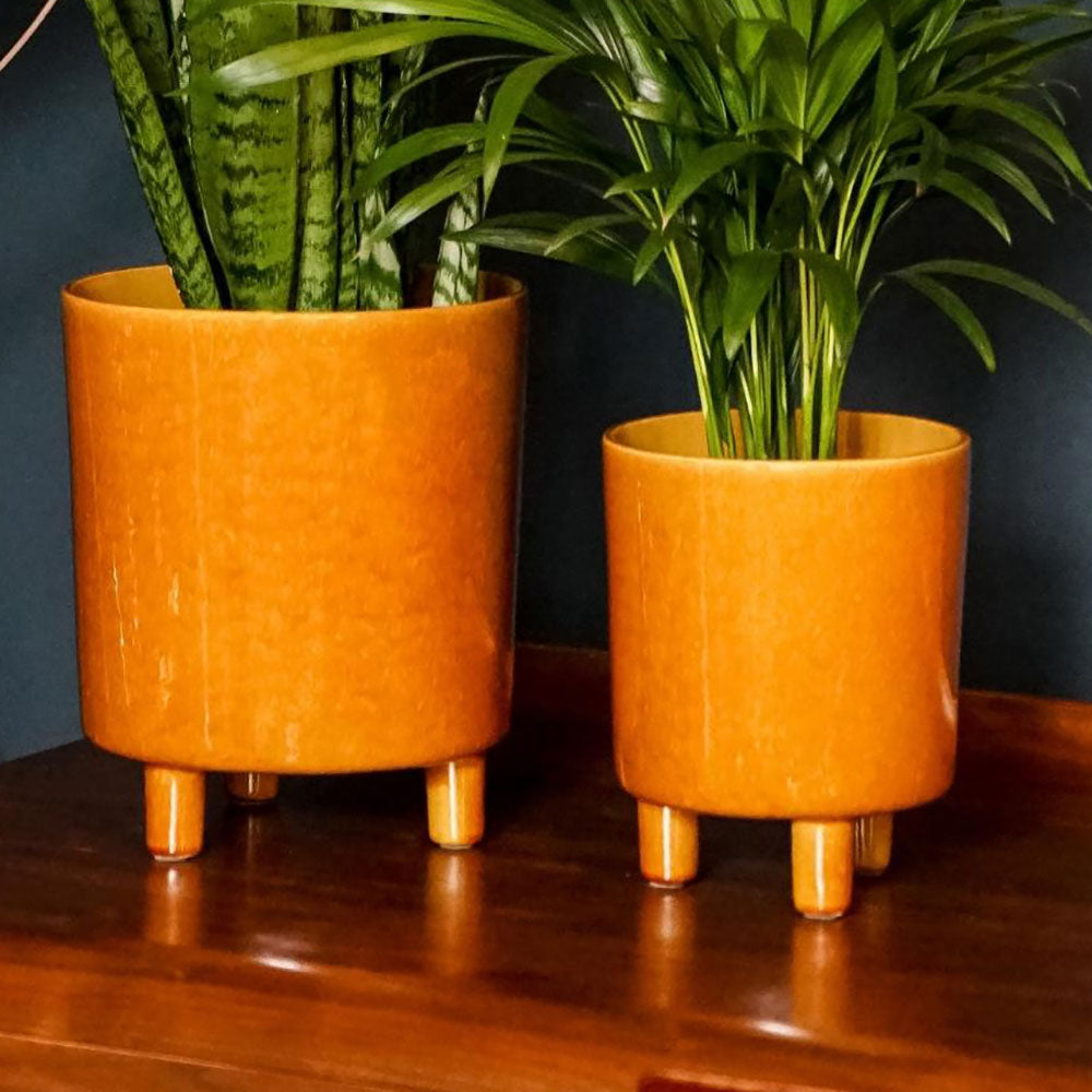 Pisa Mustard Planter 19cm Height 16cm Dia Pots & Planters