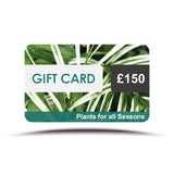Plants for all Seasons Gift Card Gift Cards