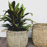 Seagrass Lined Basket Natural Set of 2 Pots & Planters