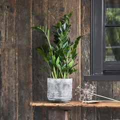 Tivoli Planter Earth 25cm Height 26cm Dia Pots & Planters