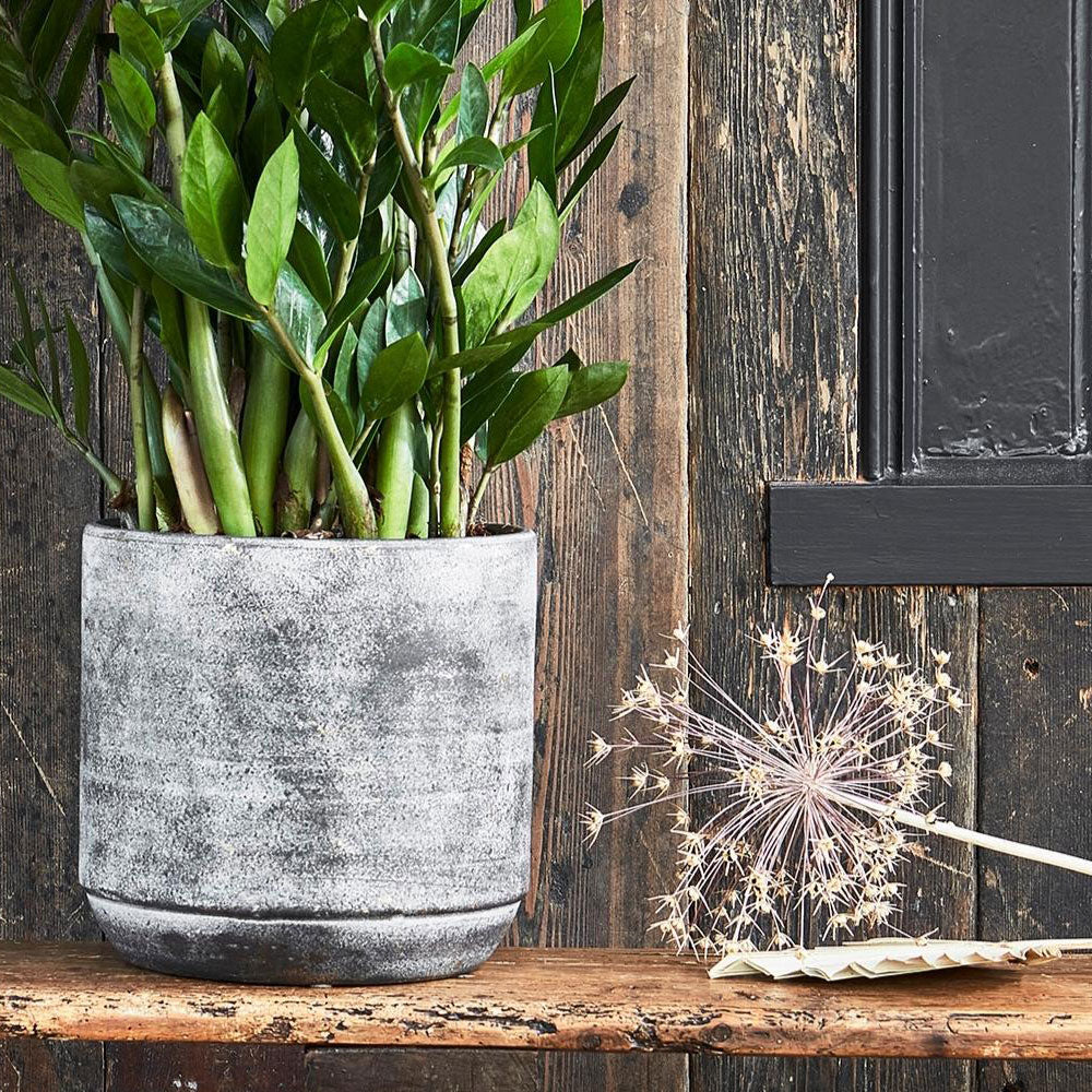 Tivoli Planter Earth 25cm Height 26cm Dia Pots & Planters