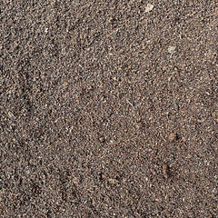 Worm Castings 2.5ltr Houseplant Substrates